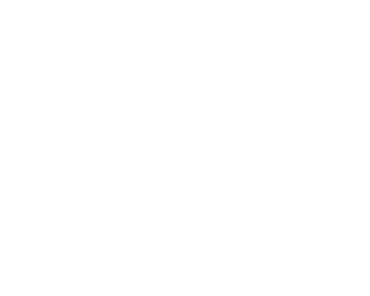 wolf logo